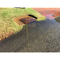 Day after the king tide Virginia Beach image